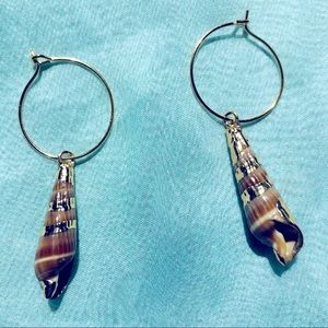 Seashell Earrings